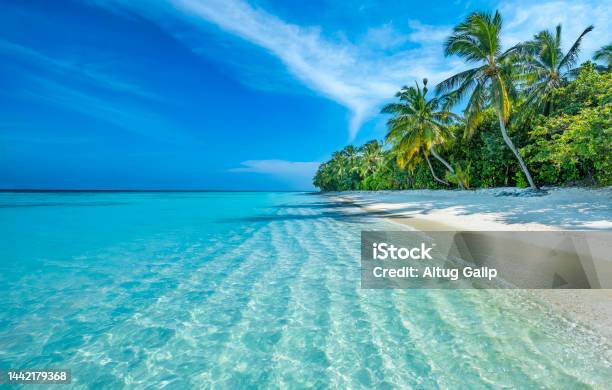 Maldives Island Stock Photo - Download Image Now - Beach, Tropical Climate, Idyllic