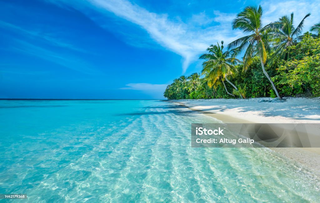 Insula Maldive - Fotografie de stoc Plajă fără redevențe Insula Maldive - Fotografie de stoc Plajă fără redevențe