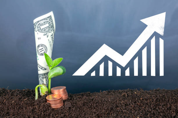 istock bussiness growth concept:Seeding money 1442181970
