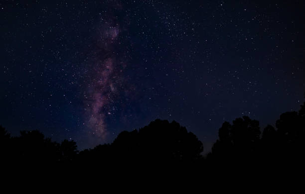 istock Milky Way rising over a forest 1442182943