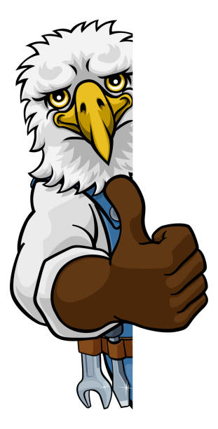 illustrations, cliparts, dessins animés et icônes de eagle plombier mécanicien bricoleur peeking sign - thumbs up repairman human thumb electrician