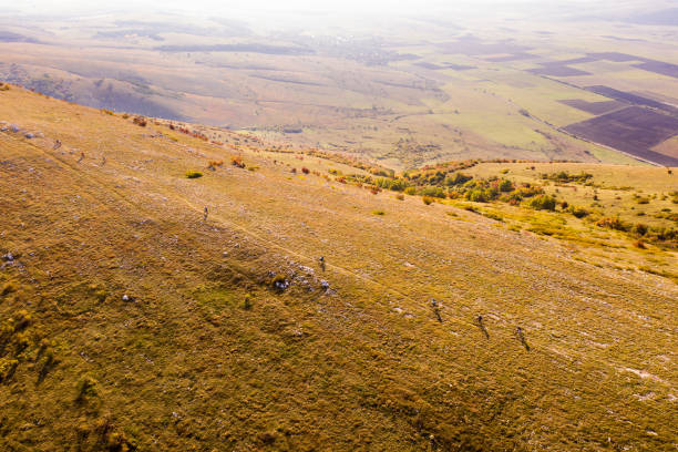 Aerial view of group of mountain bikers moving forward