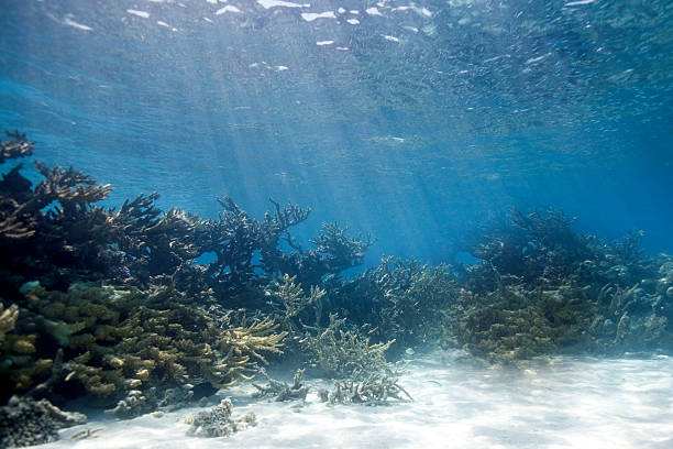 sunrays at reef stock photo