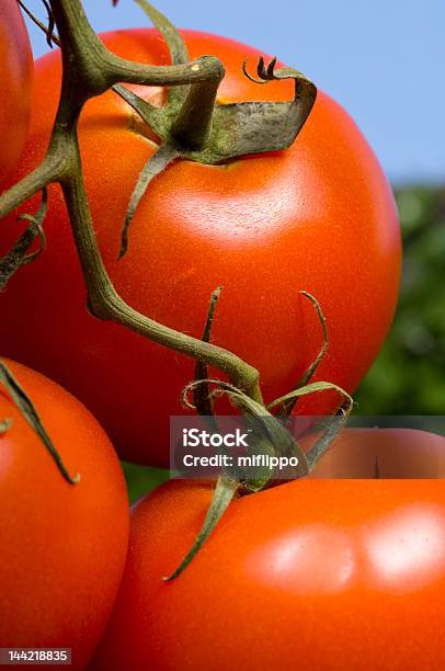 Foto de Tomates Vermelho e mais fotos de stock de Alimentação Saudável - Alimentação Saudável, Antioxidante, Aspiração