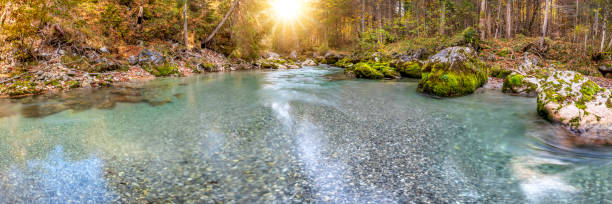wild river with clear water in beautiful canyon