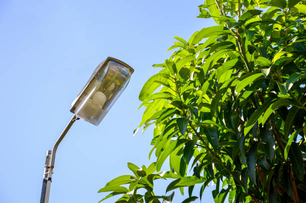 istock LED lamps use solar power, alternative energy nowadays people pay more attention. 1442194966