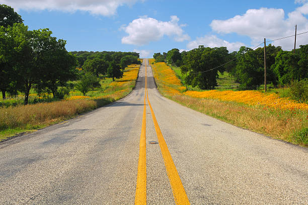 istock Texas Wild Flower Country Road 144219776