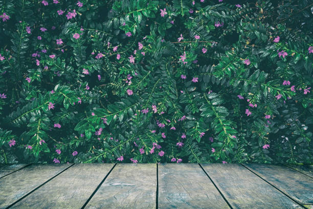 Wood Table with Tropical Leaves Texture in Dark Contrast Background., Suitable for Product Display and Natural Concept.