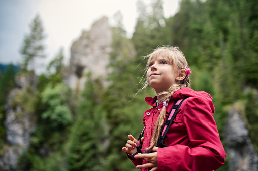 Portrait of a little girl hiking with backpack in the mountains. The girl aged 6 is looking up at the beautiful trees and mountains.\nNikon D700