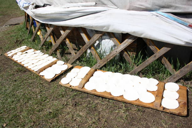 Slices of home-made cheese are dried up at the side of nomadic tent, Bulgan region in Mongolia. stock photo