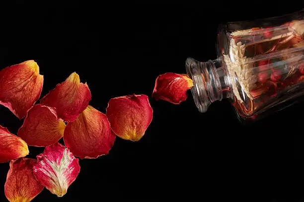 Roses petals pouring out of bottle with potpourri. Isolated on black background. Fragrance concept.