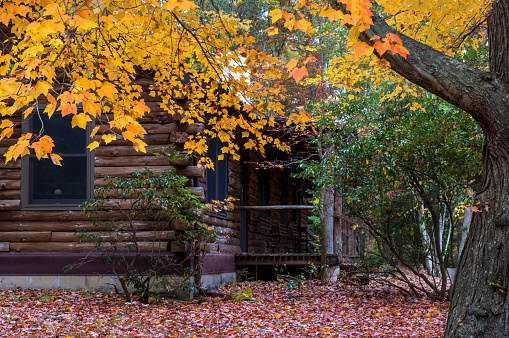 An Autumn view of a log cabin in Allaire State Park in New Jersey.