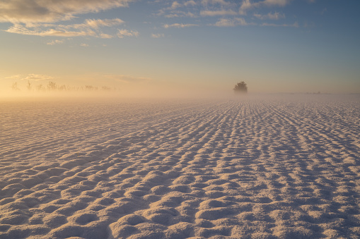 Snow covered field with some fog in the distance on cold winter morning