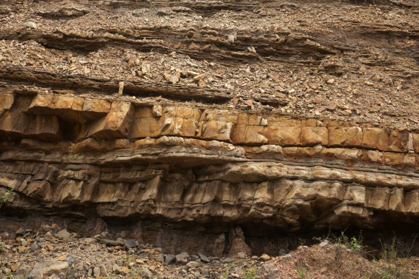 layers of sedimentary rock outcrops,  Sandstone, silt outcrops. Location: Sangatta, East Kalimantan/Indonesia karman stock pictures, royalty-free photos & images