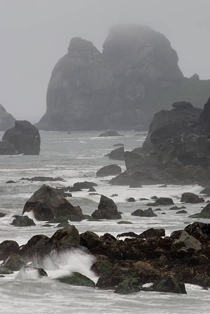 Wybrzeże Stanu Oregon – zdjęcie