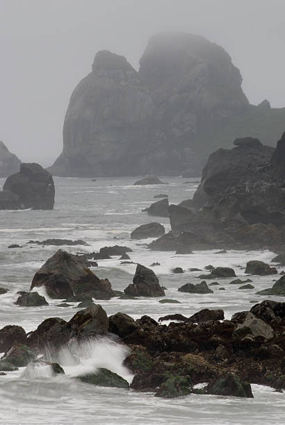 Costa de Oregon - foto de acervo