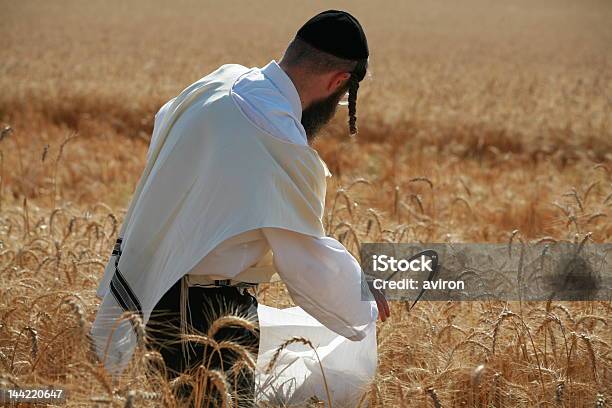 Grano Per Pasqua Ebraica Matzo Raccolto Dallortodossia Di Ebrei - Fotografie stock e altre immagini di Agricoltura