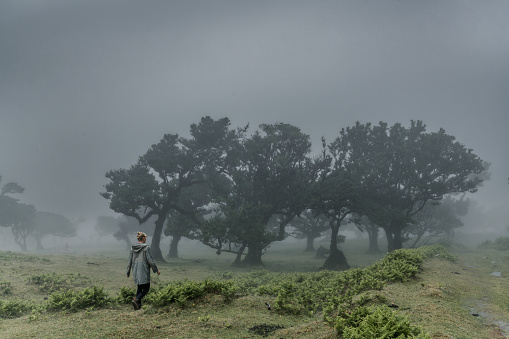 A lonely woman walks in the Fanal Forest on a foggy cloudy day, Madeira.