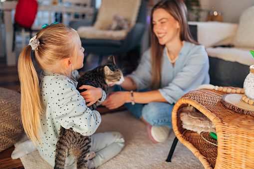 Lovely woman and her daughter are having crazy fun spending time at home and playing with their cat