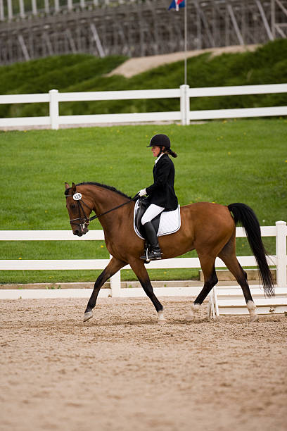 istock Dressage riding 144221865
