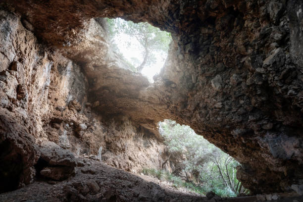 istock Cave of rocks on the path in the pine forest. 1442219279