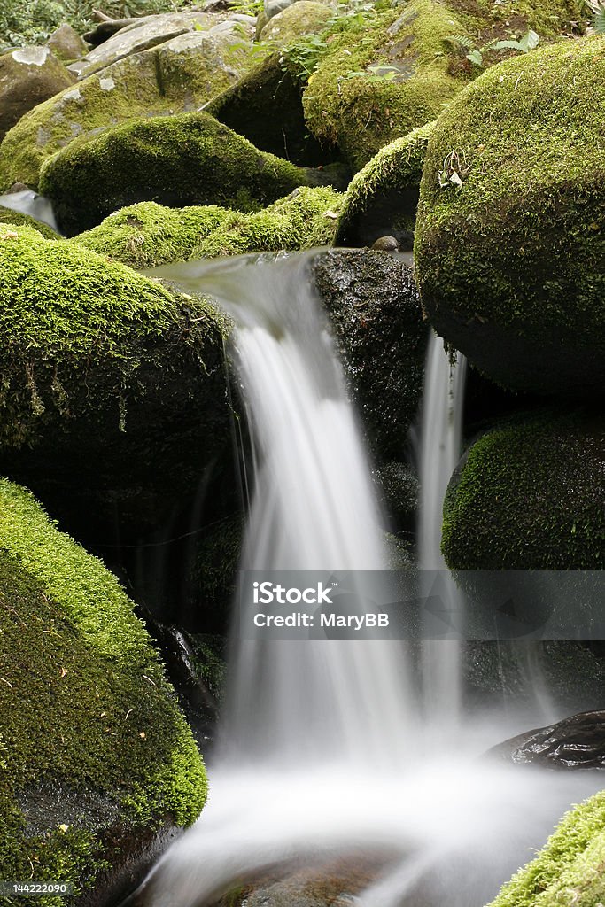 Weiches Wasser - Lizenzfrei Alge Stock-Foto