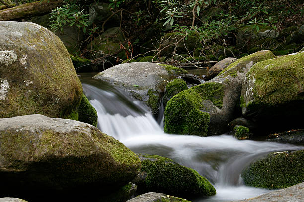 Dwa Falls – zdjęcie