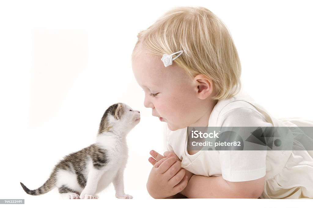 Anne and kitten Young girl posing with kitten Animal Stock Photo