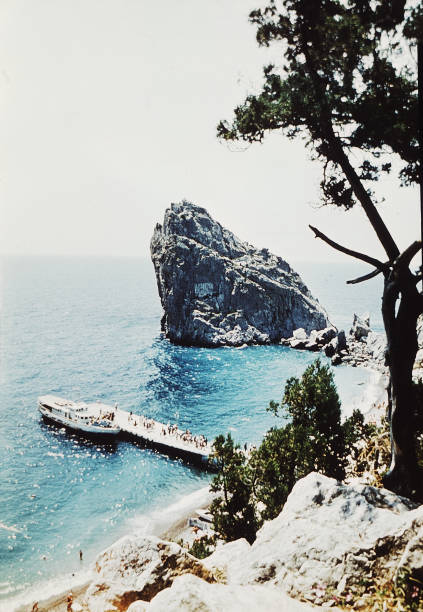 istock rock in sea near Simeiz 1442226732