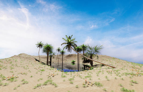 istock Oasis in desert with blue sky day design 1442227146