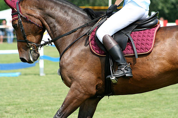 istock Horseback Riding Details 144222912