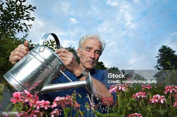 Retired Senior Watering The Flowers Stock Photo - Download Image Now - Flower, Senior Men, Watering