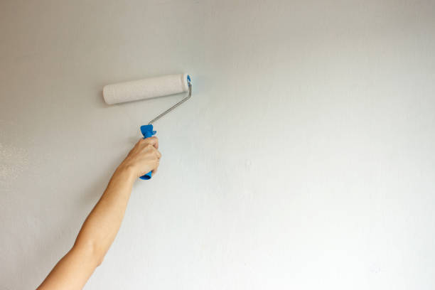 istock woman painting a wall with a roller 1442231383