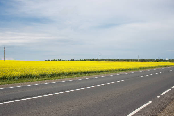 istock highway near the rapeseed field 1442231582