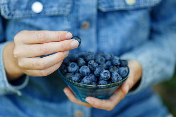 mujer comiendo arándanos maduros, bayas saludables. - blueberry berry fruit berry fruit fotografías e imágenes de stock