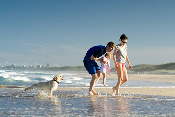 istock Family on a beach holiday 144223199