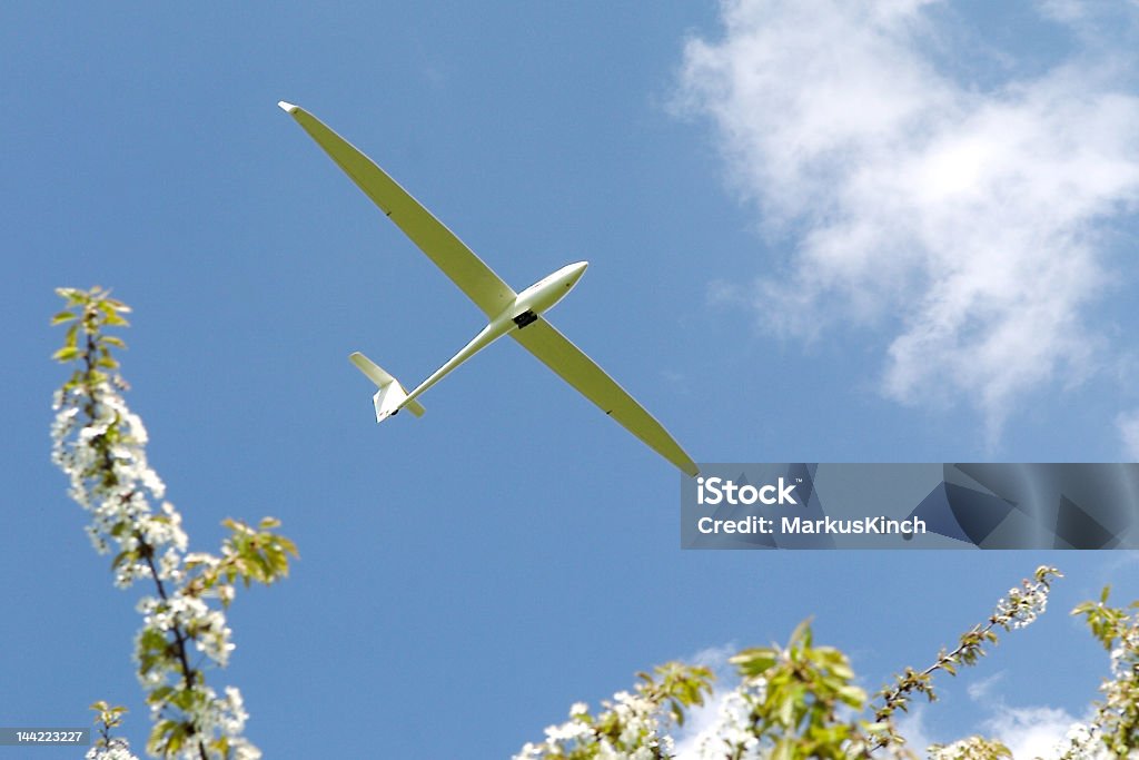 Majestueux Glider - Photo de Dunstable libre de droits