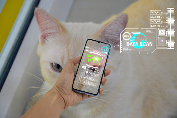 istock The concept of using artificial intelligence to find lost or lost pets. 1442232496