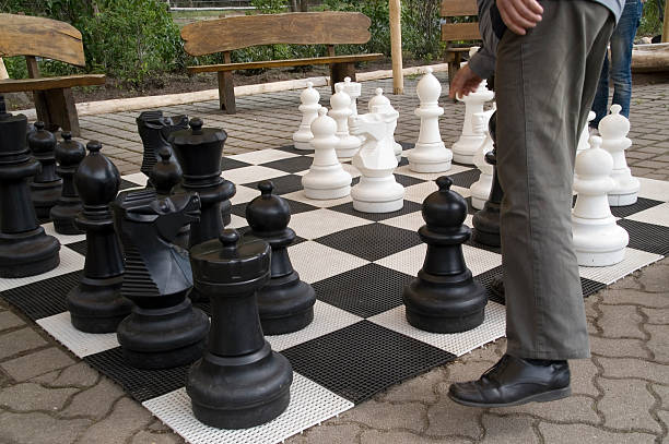 istock chess player in the park 144223264