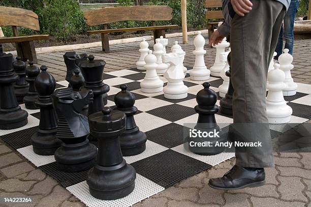 Chess Player In The Park Stock Photo - Download Image Now - Adult, After Work, At The Bottom Of