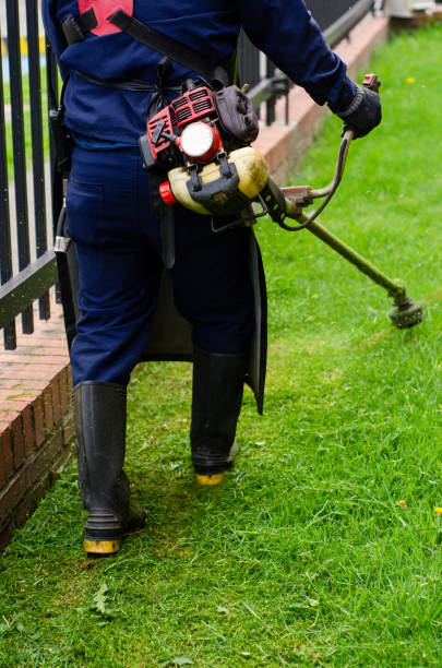 istock Rear view of handyman cutting the grass with string trimmer 1442239043