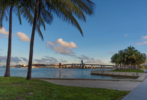 istock Biscayne bay and Port Boulevard bridge in the back 1442239135