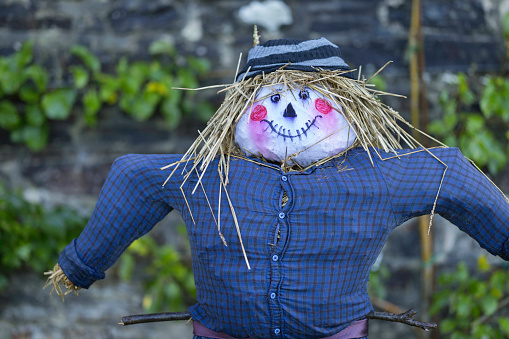 Scarecrow strawman made to guard the fields