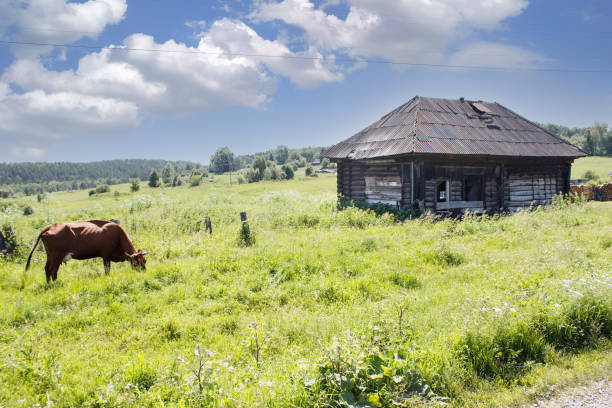 istock old abandoned wooden house 1442241794