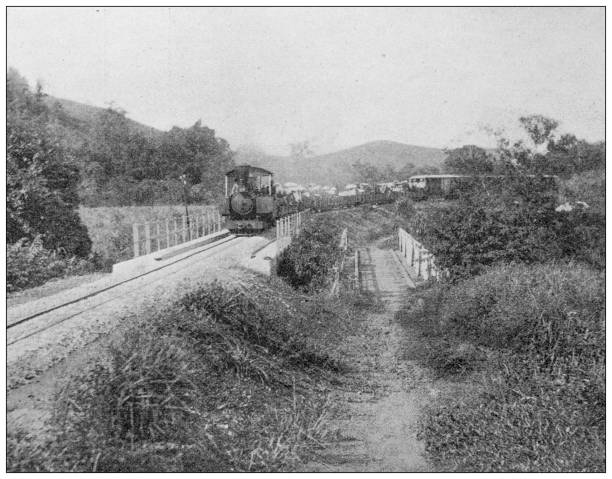 istock Antique image: Tonkin, Annam and Cochinchine, Train on the road to Langson 1442244757
