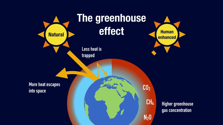 The greenhouse effect