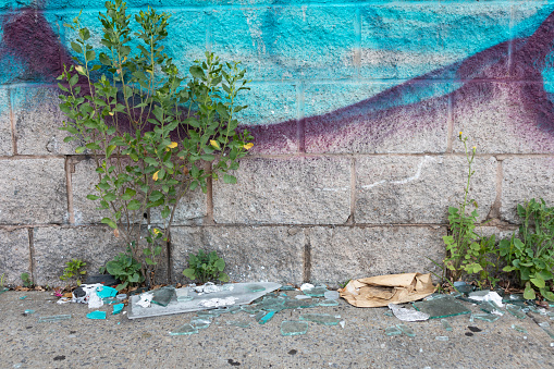 A messy scene with broken glass and garbage with weeds on a New York City sidewalk next to a brick wall background