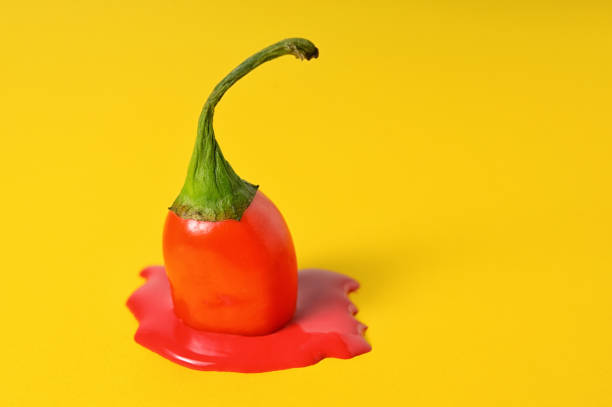 istock Melted Red Hot Chili Peppers shoot on yellow background 1442245289