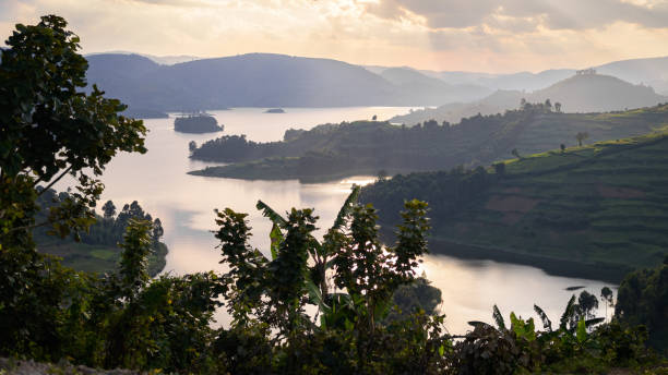 istock Beautiful sunset at Lake Bunyonyi cloudy sky 1442246232