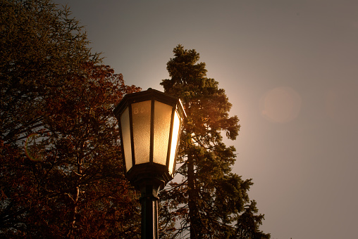 Vintage Lamp Post with Autumn Trees in the background